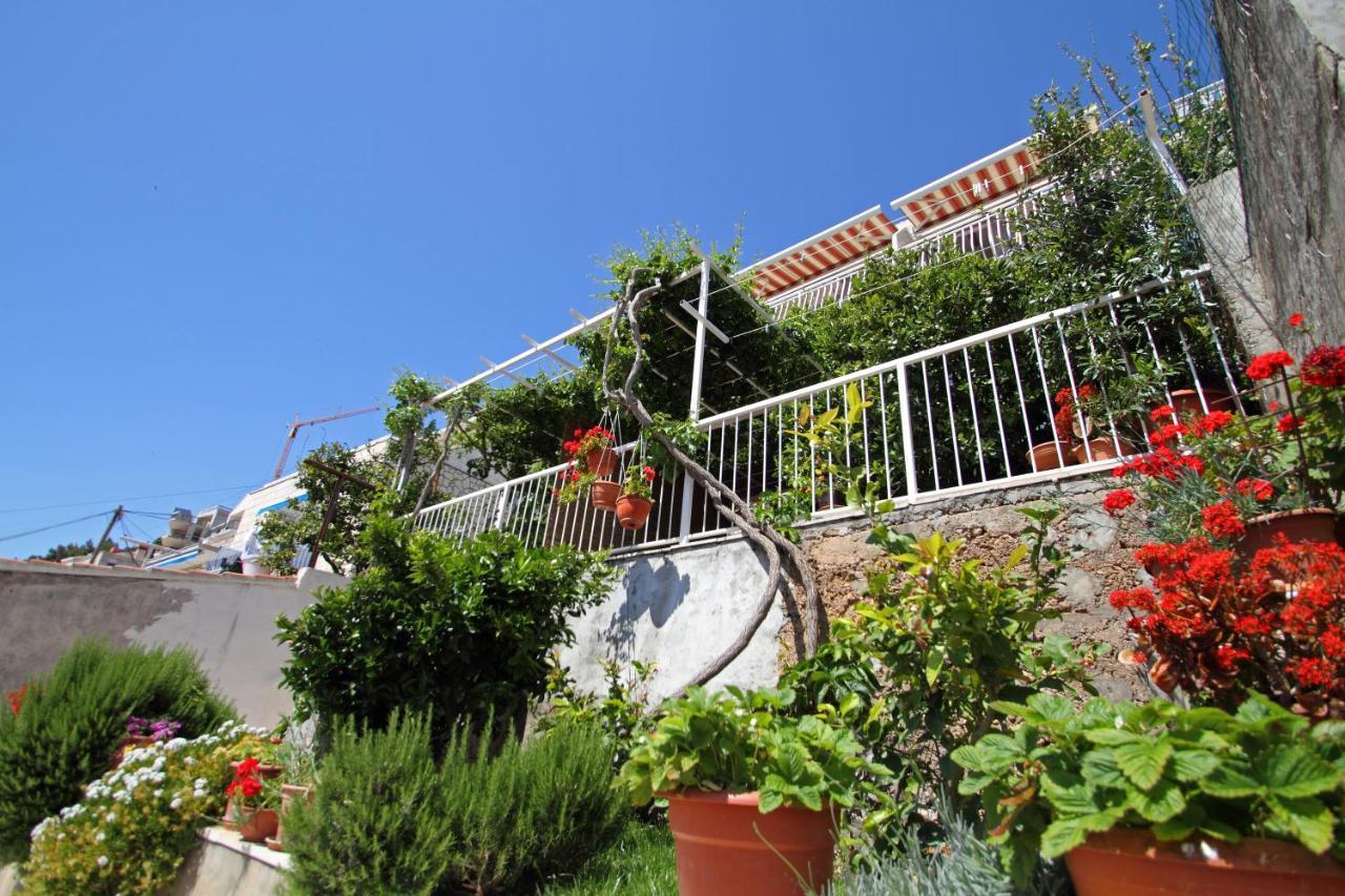 Apartments Ante Dubrovnik Exterior foto